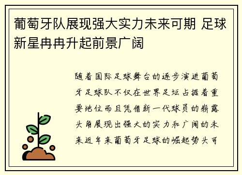 葡萄牙队展现强大实力未来可期 足球新星冉冉升起前景广阔