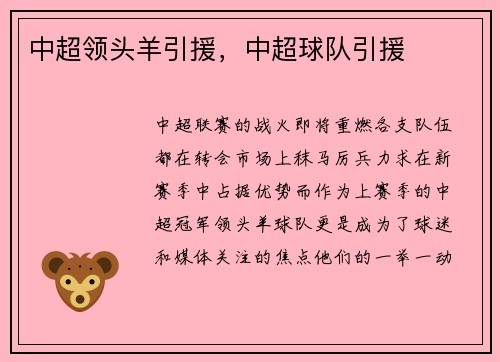中超领头羊引援，中超球队引援