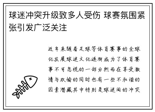 球迷冲突升级致多人受伤 球赛氛围紧张引发广泛关注