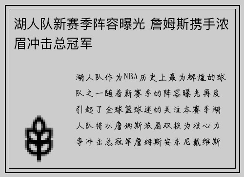 湖人队新赛季阵容曝光 詹姆斯携手浓眉冲击总冠军