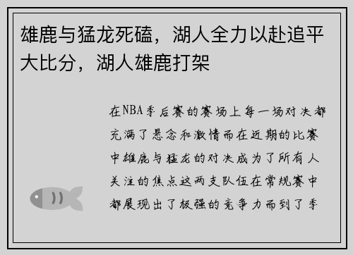 雄鹿与猛龙死磕，湖人全力以赴追平大比分，湖人雄鹿打架